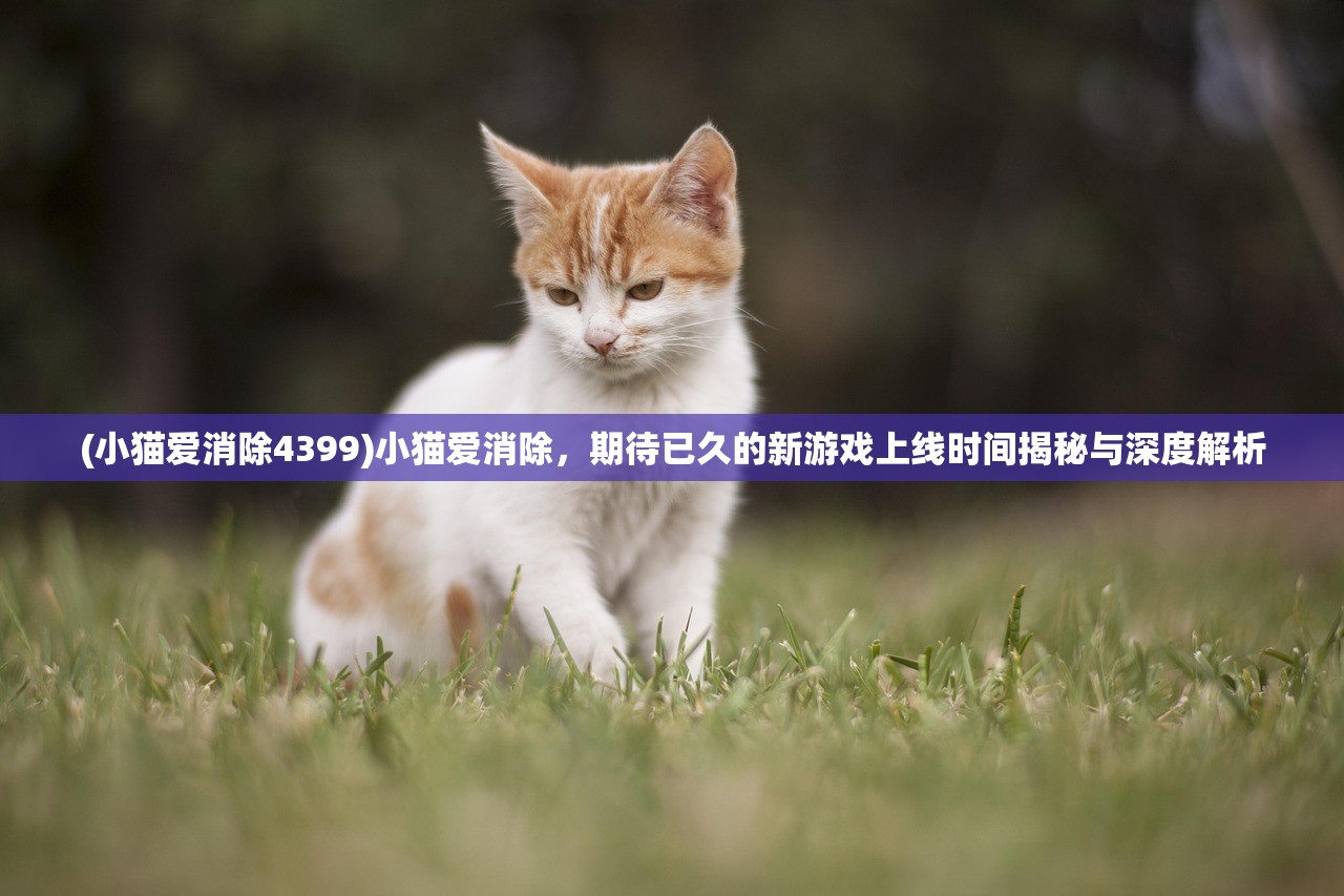 (小猫爱消除4399)小猫爱消除，期待已久的新游戏上线时间揭秘与深度解析