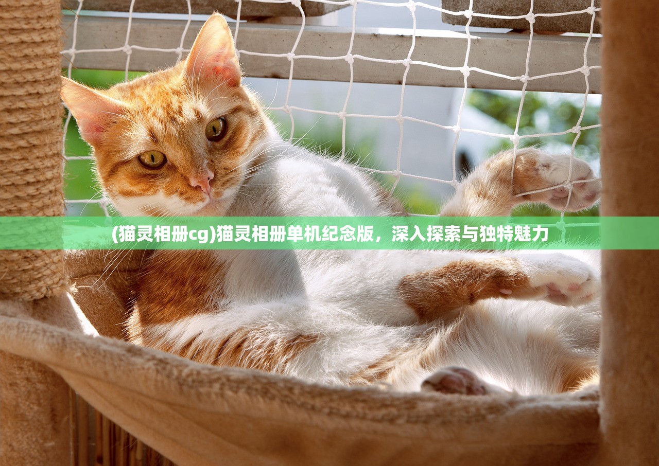 (猫灵相册cg)猫灵相册单机纪念版，深入探索与独特魅力