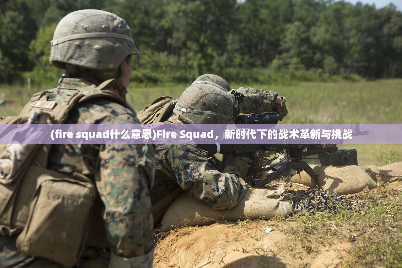 (fire squad什么意思)Fire Squad，新时代下的战术革新与挑战