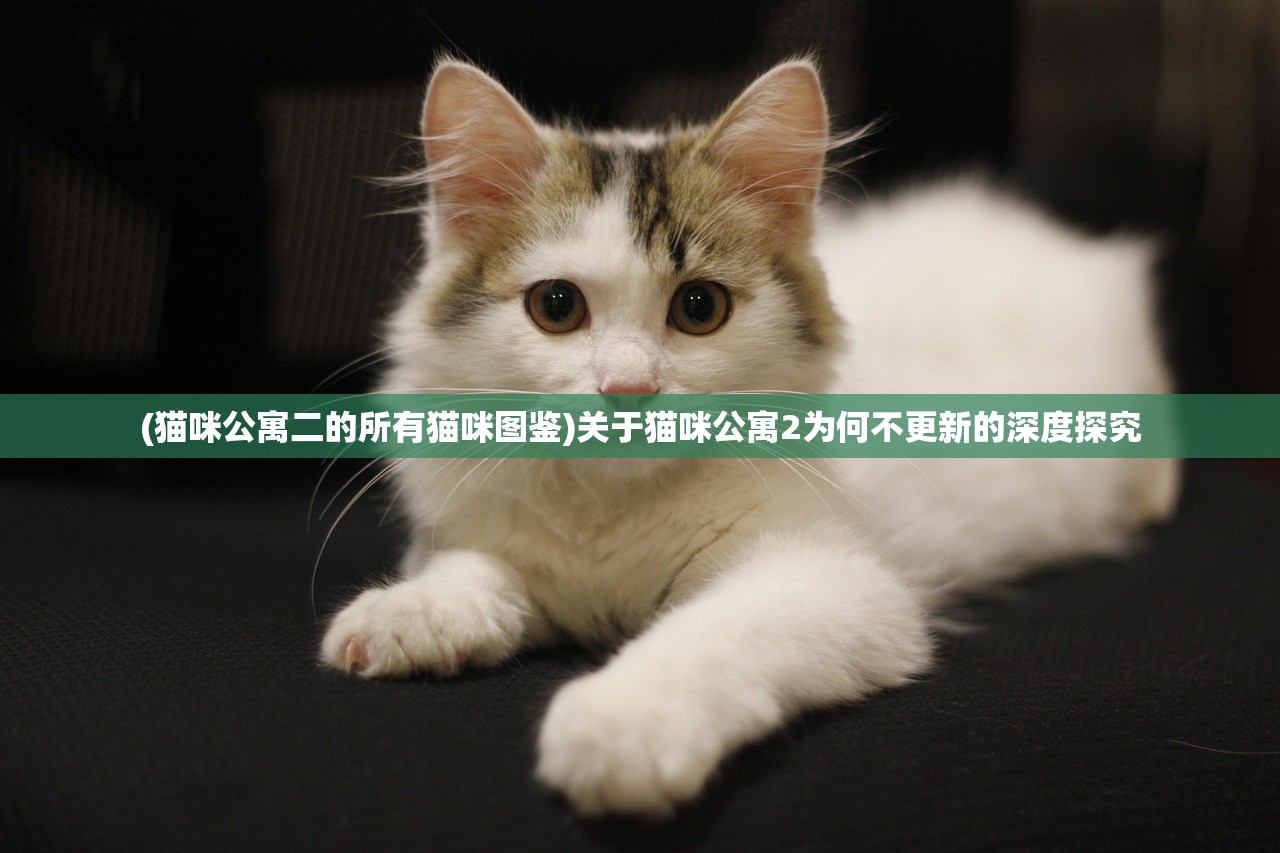 (猫咪公寓二的所有猫咪图鉴)关于猫咪公寓2为何不更新的深度探究