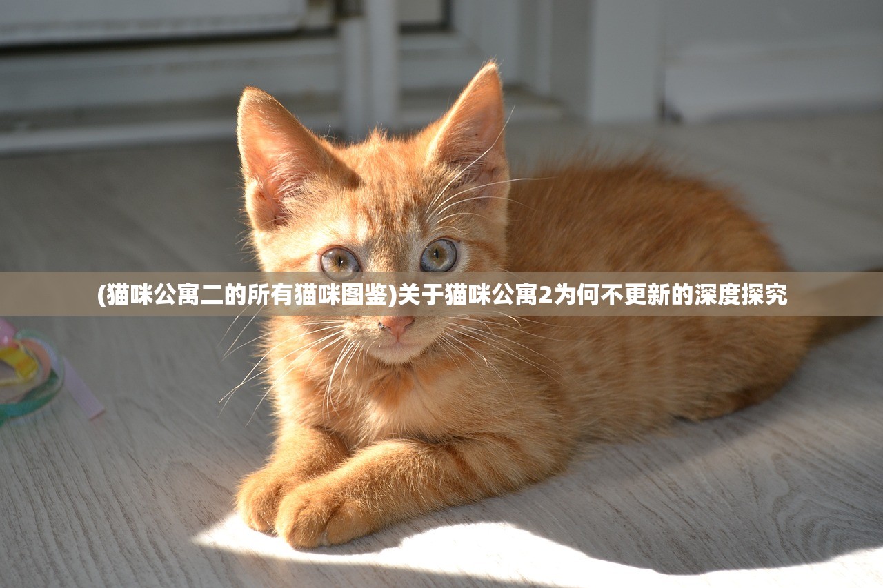 (猫咪公寓二的所有猫咪图鉴)关于猫咪公寓2为何不更新的深度探究