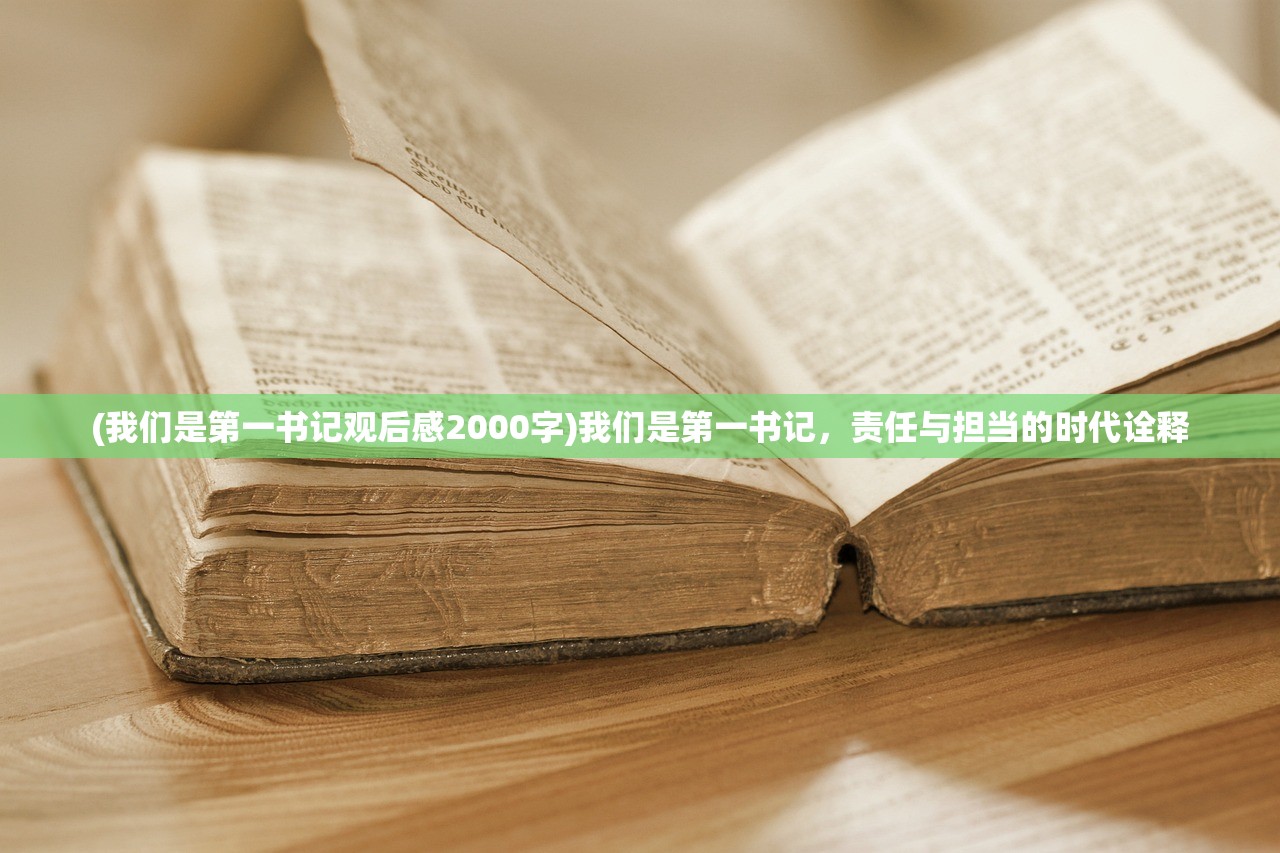 (我们是第一书记观后感2000字)我们是第一书记，责任与担当的时代诠释