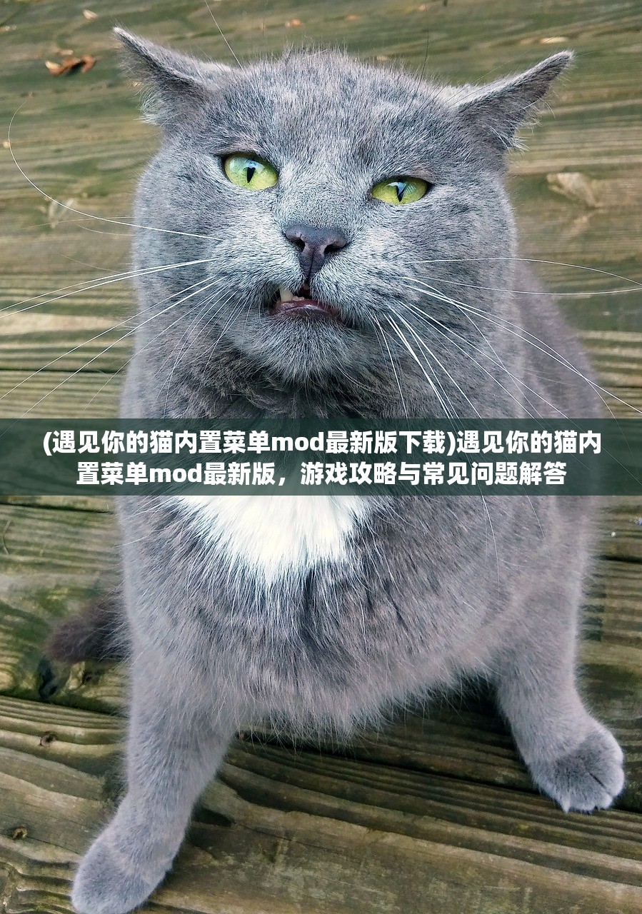 (遇见你的猫内置菜单mod最新版下载)遇见你的猫内置菜单mod最新版，游戏攻略与常见问题解答