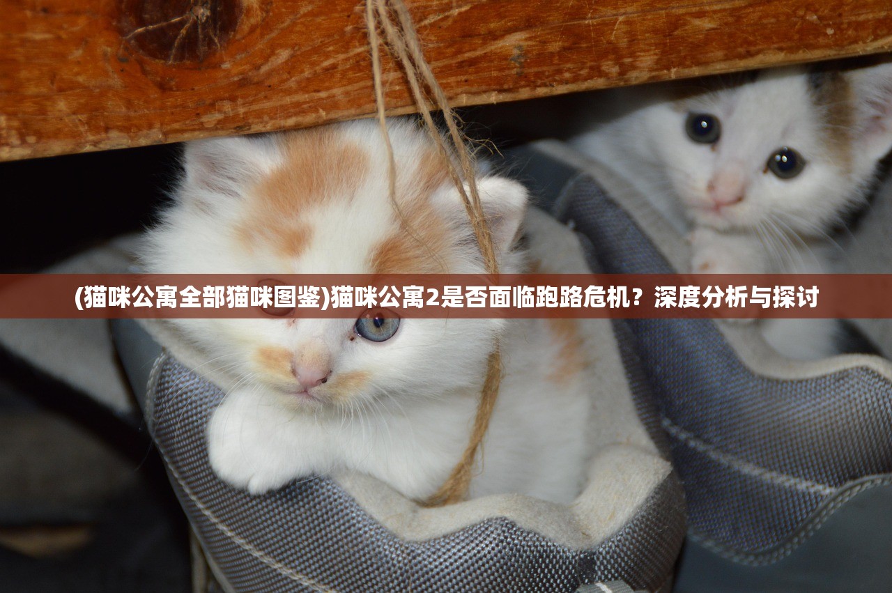 (猫咪公寓全部猫咪图鉴)猫咪公寓2是否面临跑路危机？深度分析与探讨