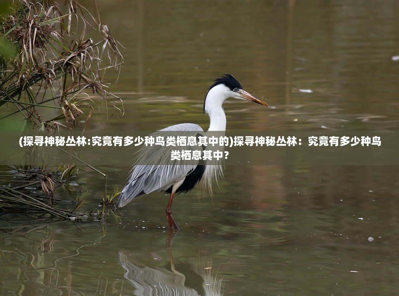 (横扫千军用什么替代)横扫千军替代战法，策略变革与战术创新
