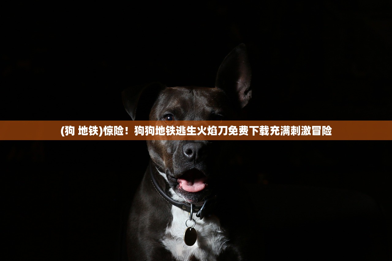 (狗 地铁)惊险！狗狗地铁逃生火焰刀免费下载充满刺激冒险