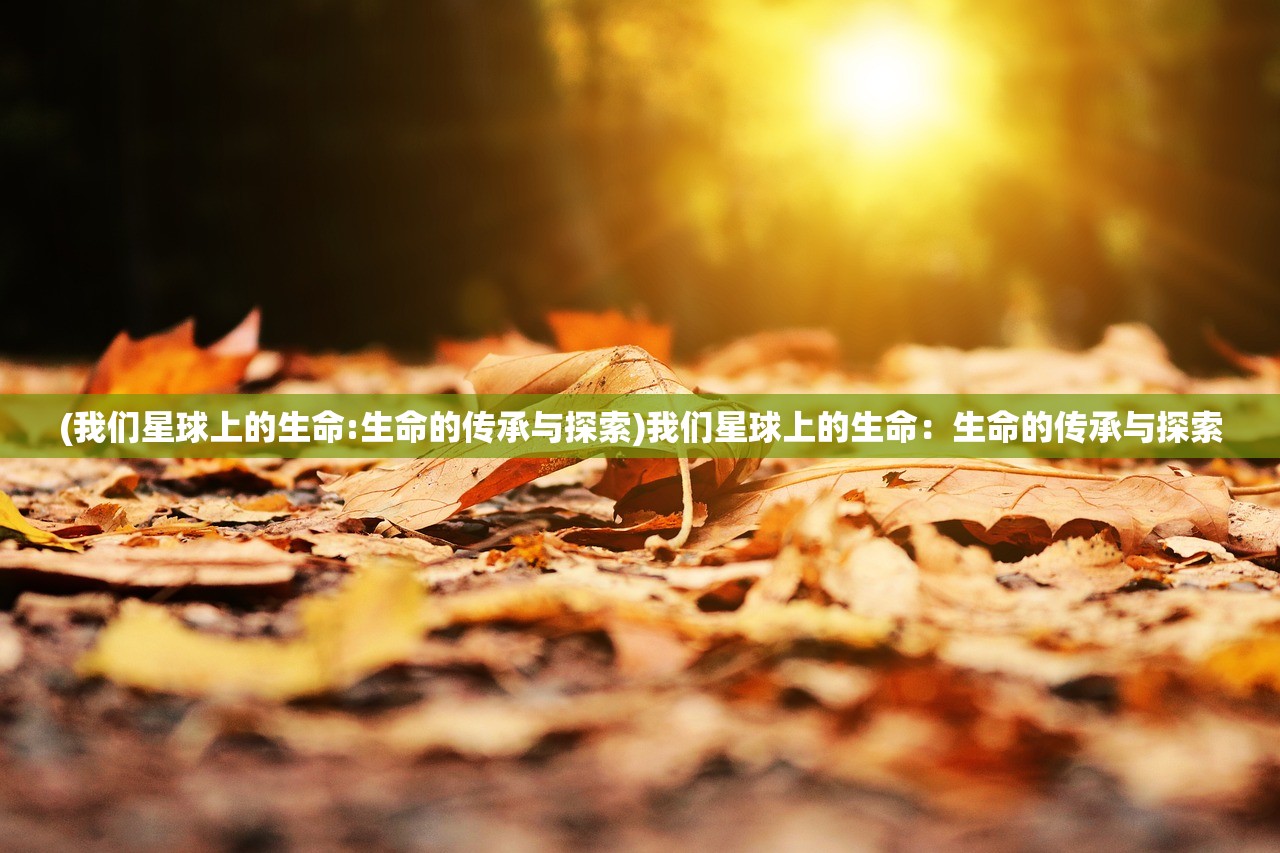 (不休传说免广告最新版)不休传说 免广告之旅 绝美相思