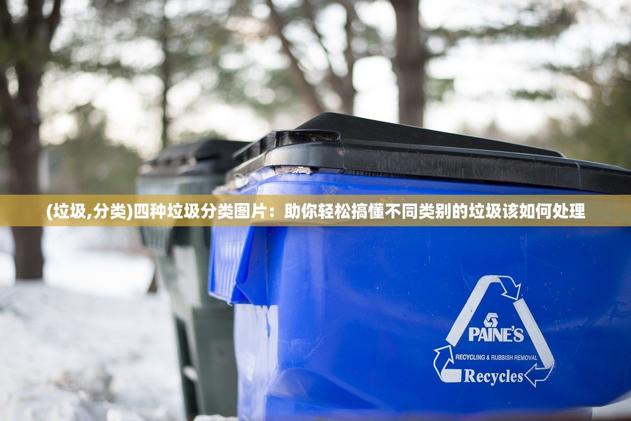 (垃圾,分类)四种垃圾分类图片：助你轻松搞懂不同类别的垃圾该如何处理