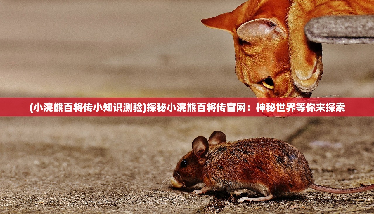 (小浣熊百将传小知识测验)探秘小浣熊百将传官网：神秘世界等你来探索