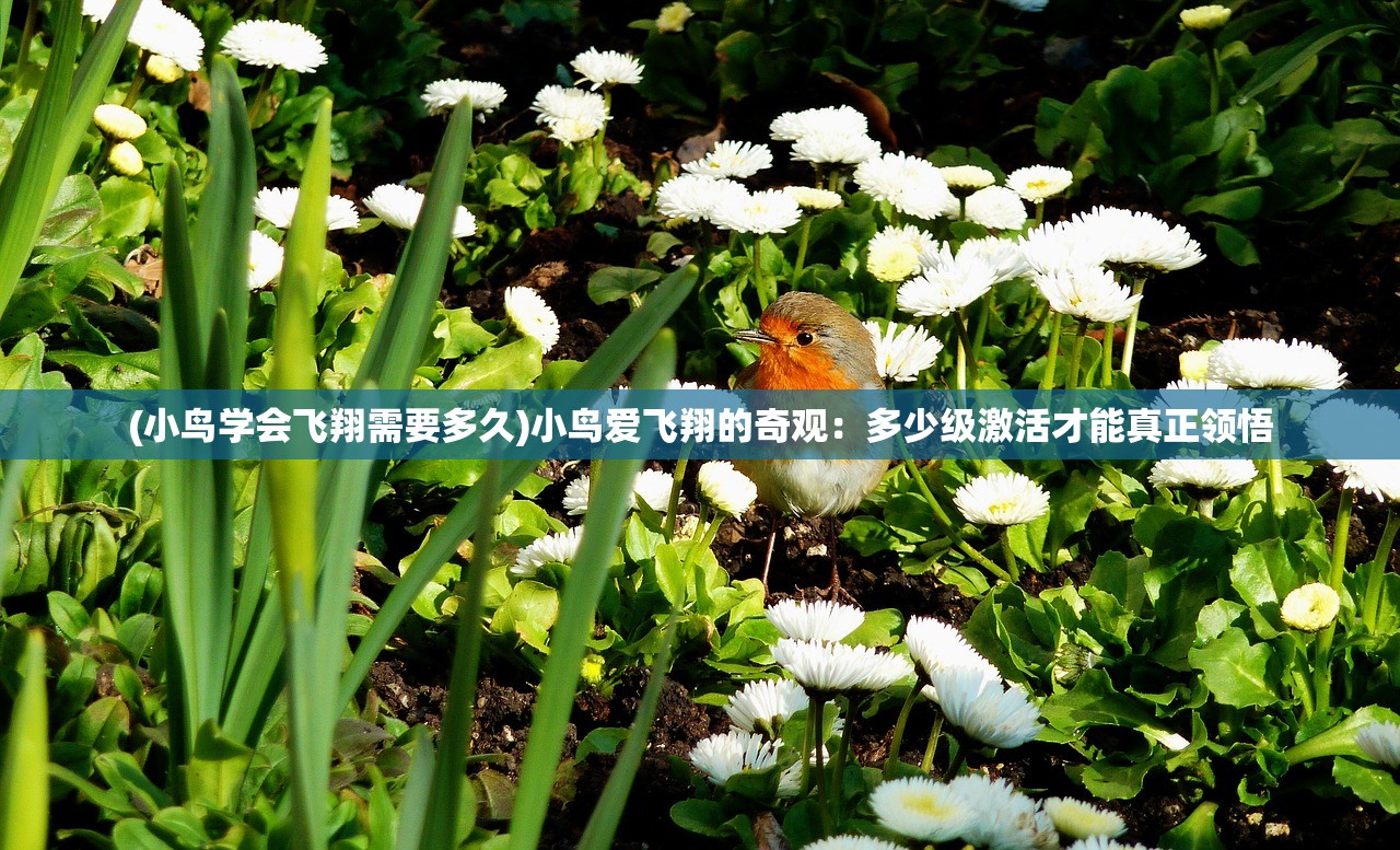 (异境刀材料)探寻异境之谜：境界刀鸣下载指南