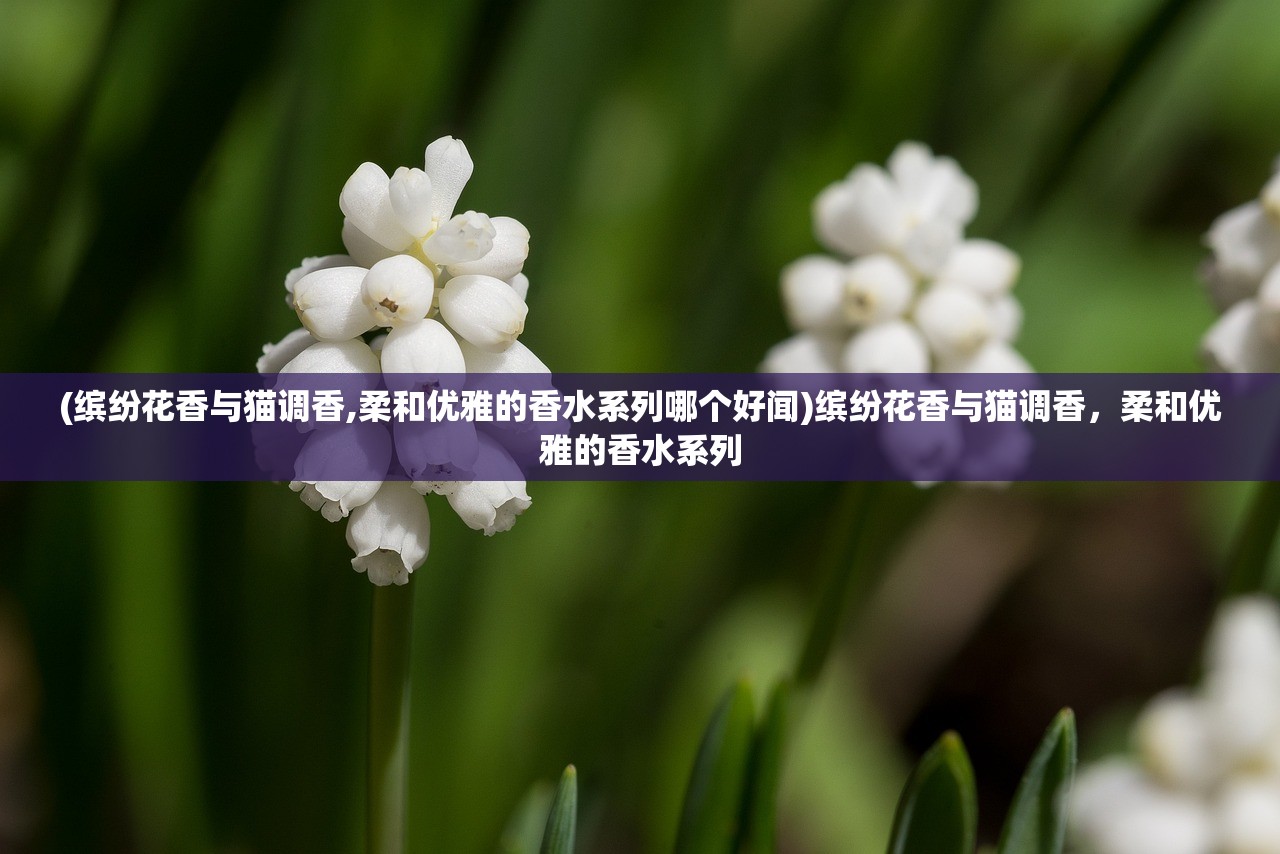 (缤纷花香与猫调香,柔和优雅的香水系列哪个好闻)缤纷花香与猫调香，柔和优雅的香水系列
