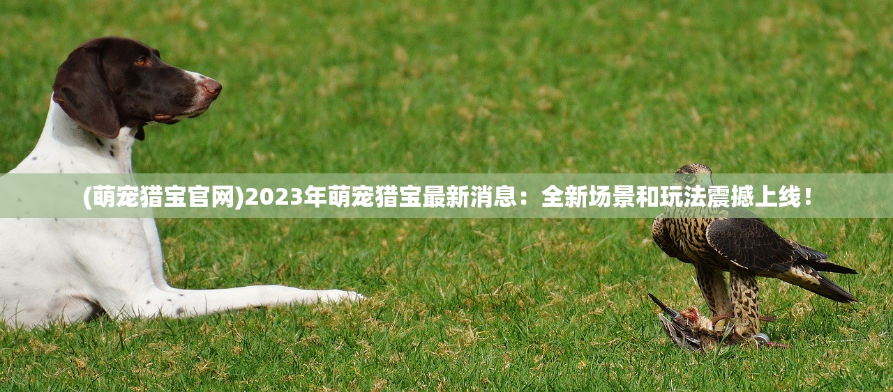 (萌宠猎宝官网)2023年萌宠猎宝最新消息：全新场景和玩法震撼上线！