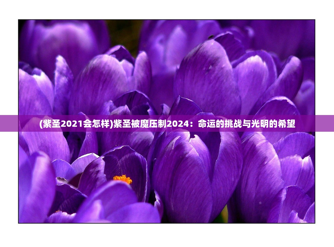 (紫圣2021会怎样)紫圣被魔压制2024：命运的挑战与光明的希望