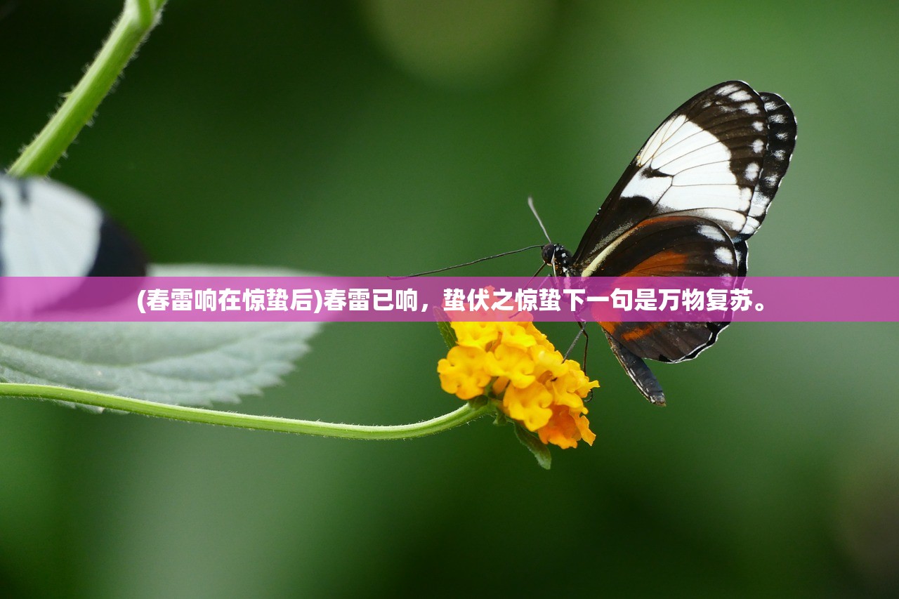 (热血传奇1.76版官网)怀旧重现经典，热血传奇1.76官方正版永恒经典