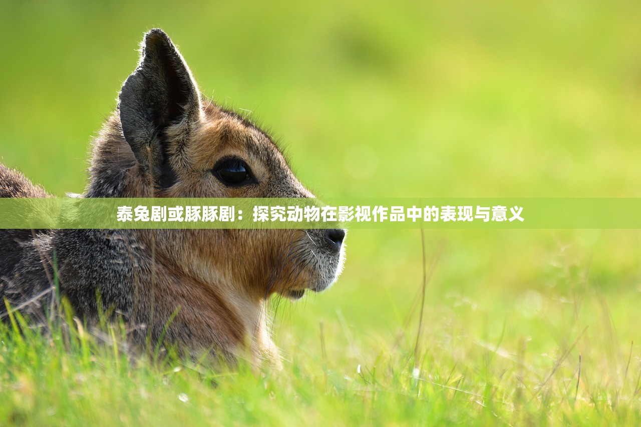 (三国志幻想名将任选)平民大军崛起！幻想名将录最强阵容揭秘，平民打造绝对实用！