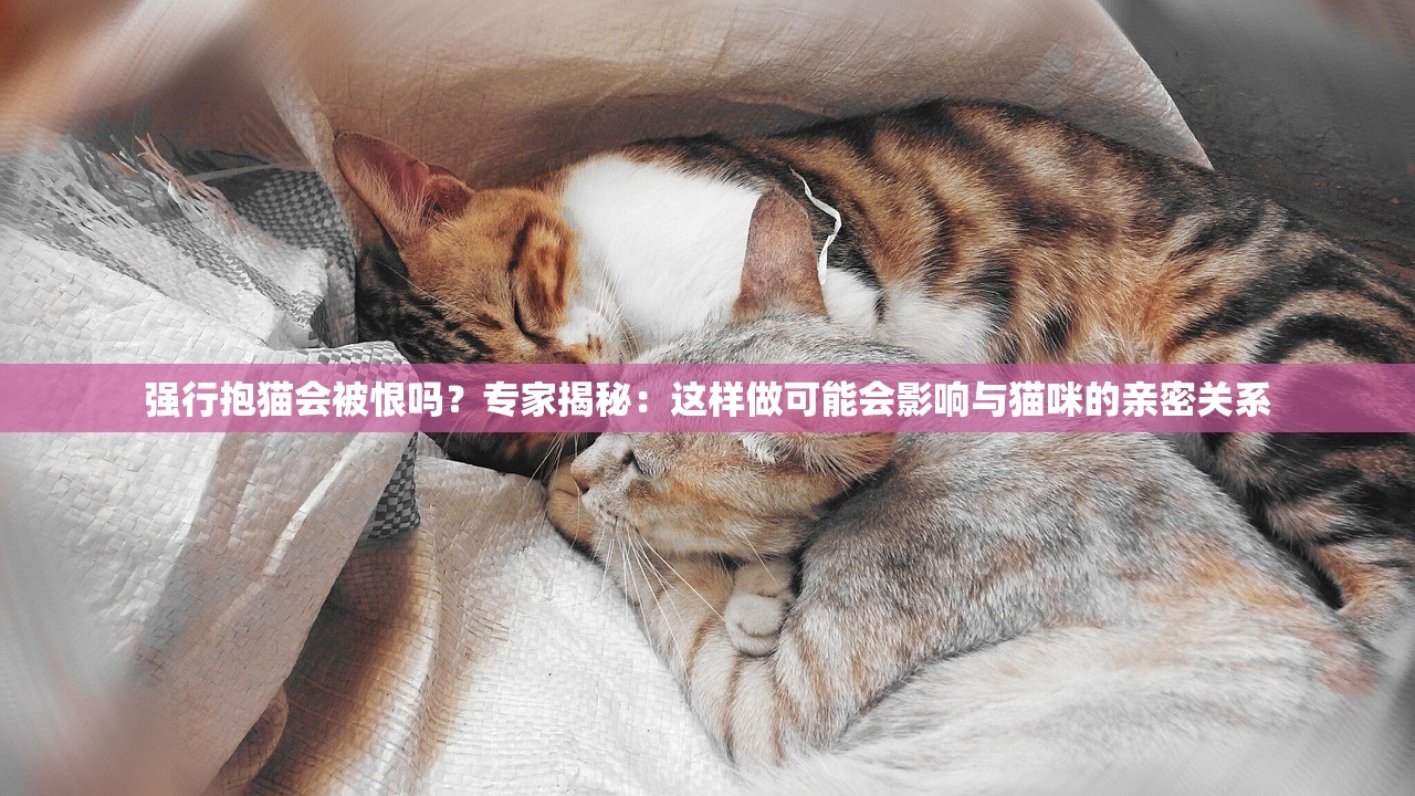 (交叉次元怎么登录游戏)交叉次元登录指南及常见问题解答