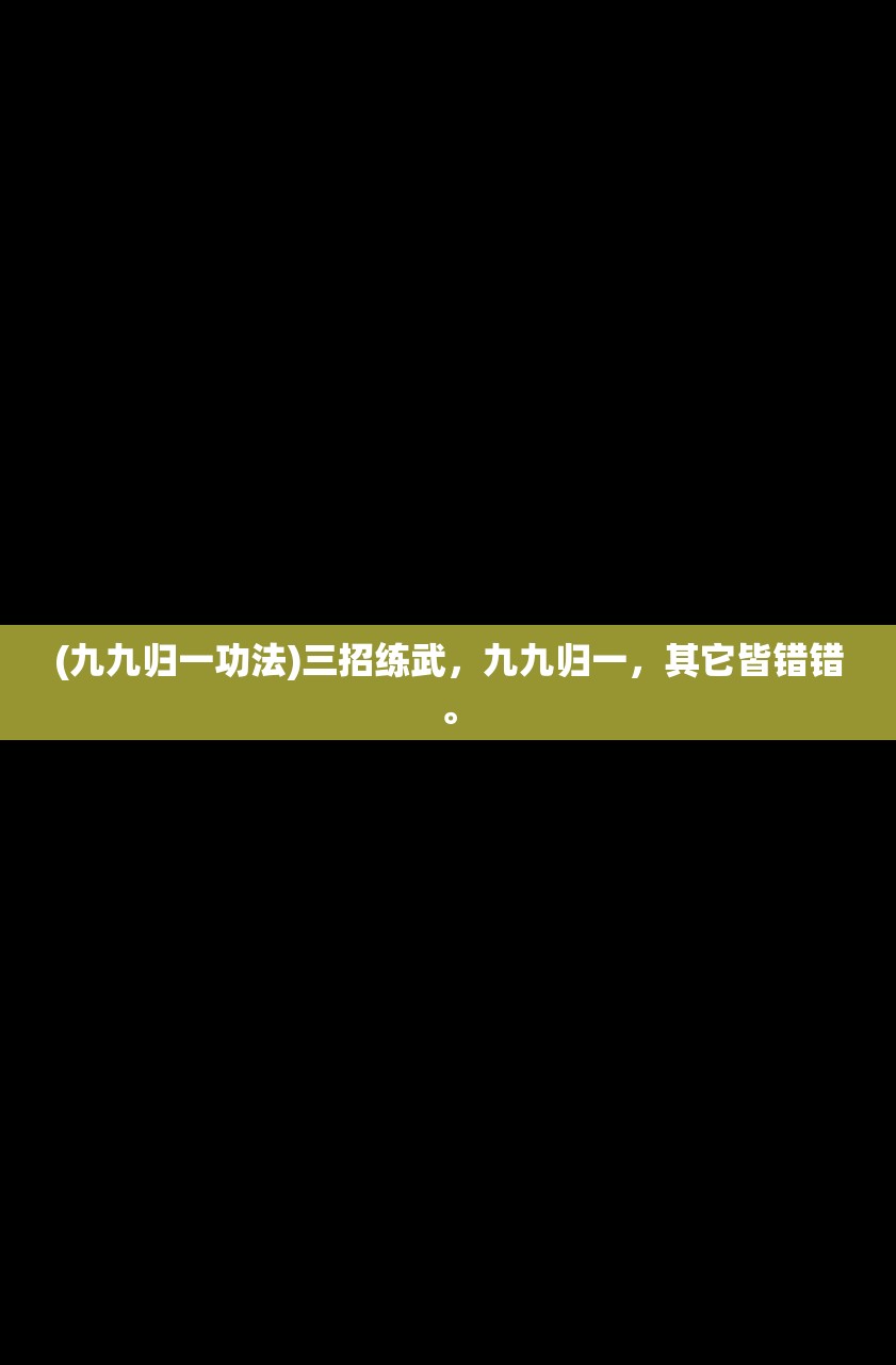 (九九归一功法)三招练武，九九归一，其它皆错错。