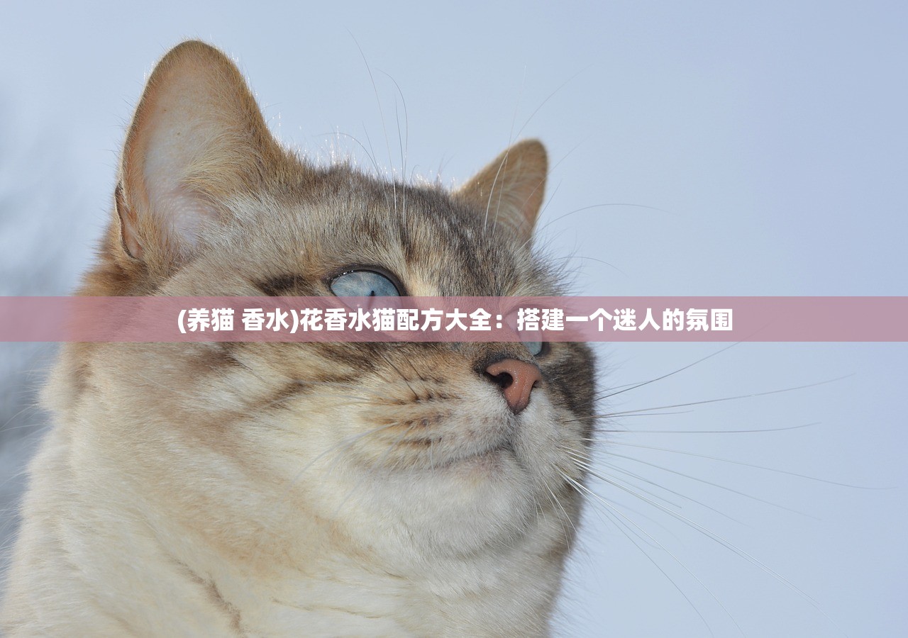 (养猫 香水)花香水猫配方大全：搭建一个迷人的氛围