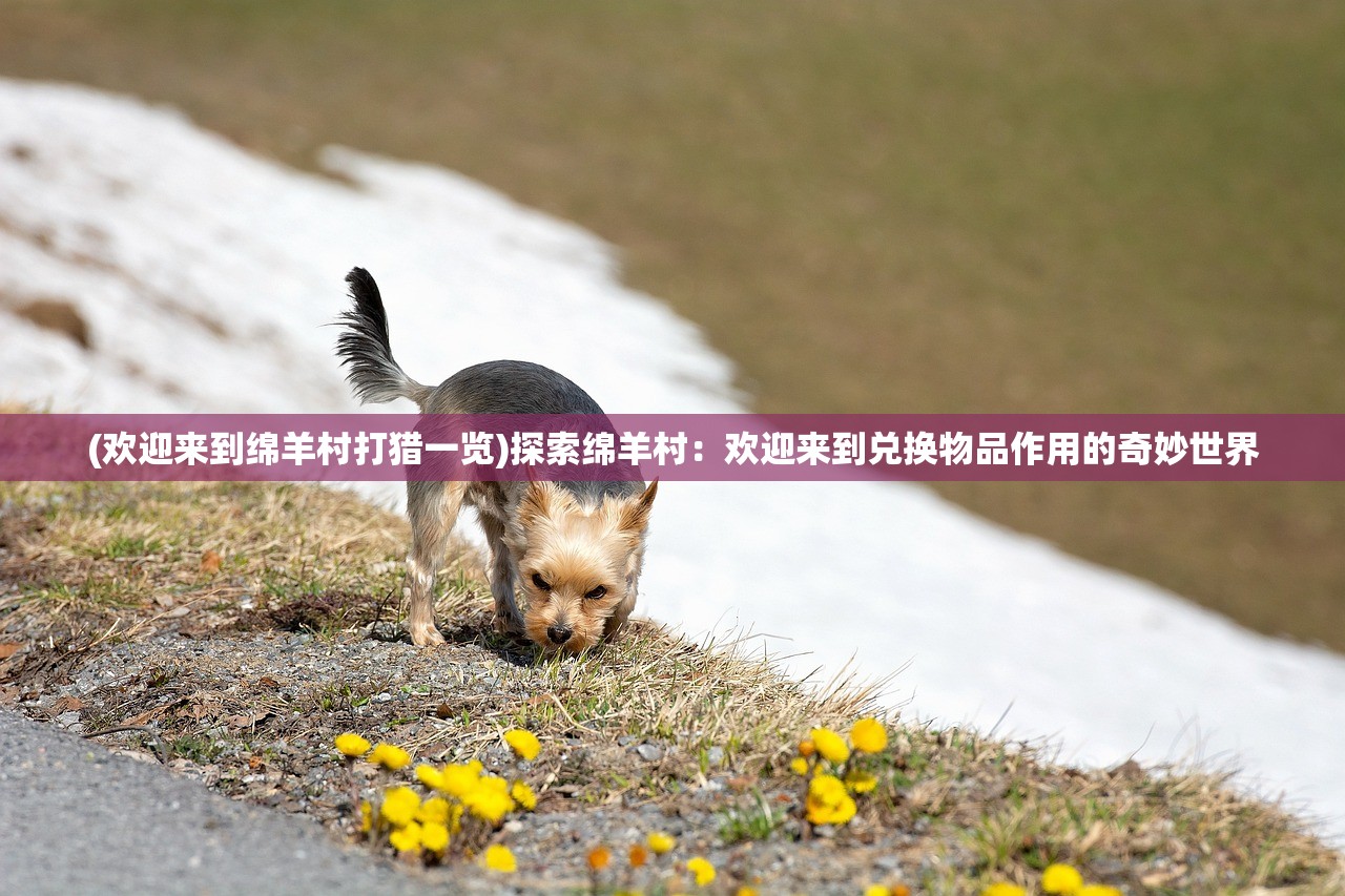 (欢迎来到绵羊村打猎一览)探索绵羊村：欢迎来到兑换物品作用的奇妙世界