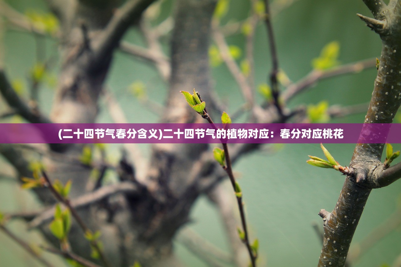 (二十四节气春分含义)二十四节气的植物对应：春分对应桃花