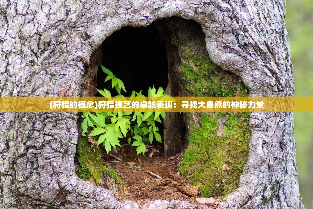 (狩猎的概念)狩猎技艺的卓越表现：寻找大自然的神秘力量