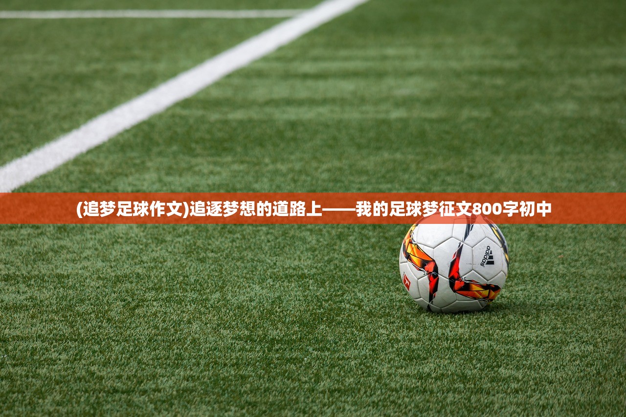 (追梦足球作文)追逐梦想的道路上——我的足球梦征文800字初中