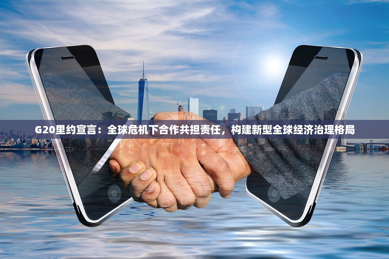 G20里约宣言：全球危机下合作共担责任，构建新型全球经济治理格局