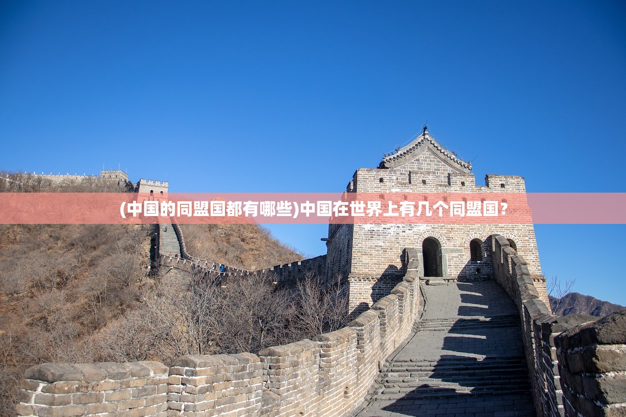 (中国的同盟国都有哪些)中国在世界上有几个同盟国？