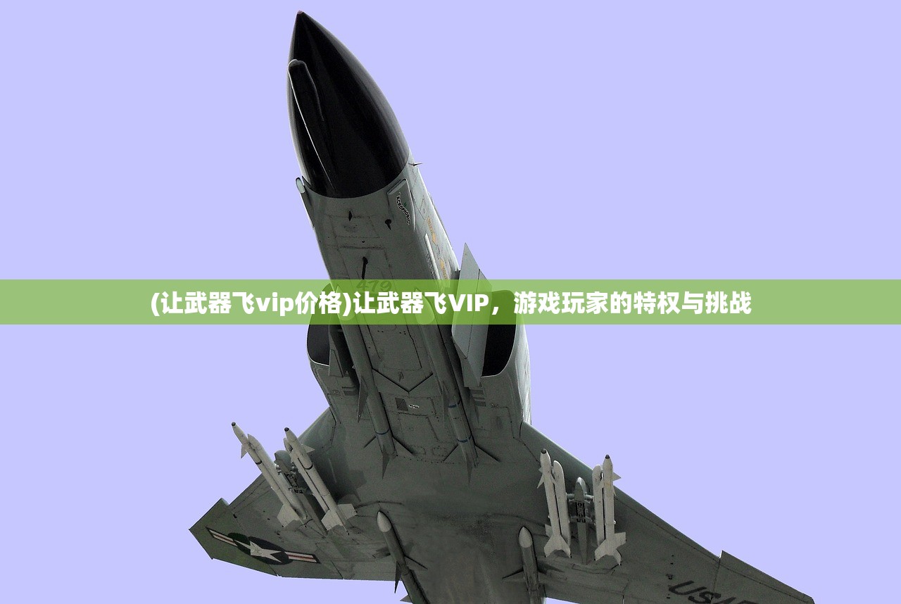 (让武器飞vip价格)让武器飞VIP，游戏玩家的特权与挑战