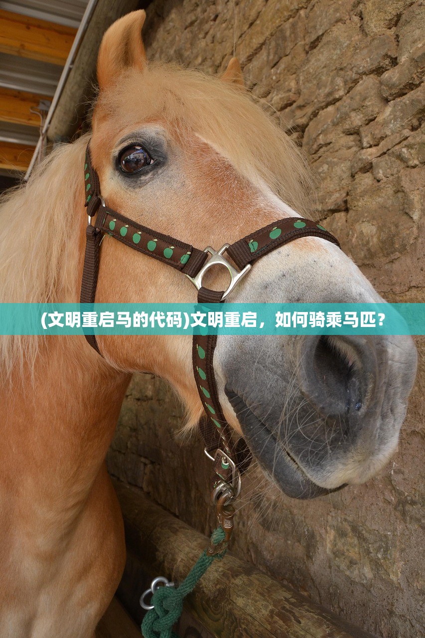 (文明重启马的代码)文明重启，如何骑乘马匹？