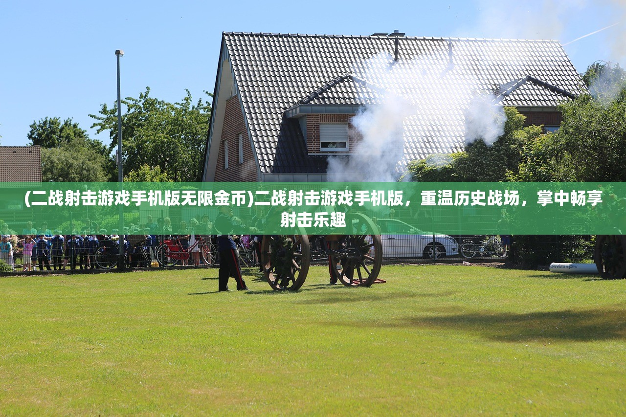 (二战射击游戏手机版无限金币)二战射击游戏手机版，重温历史战场，掌中畅享射击乐趣