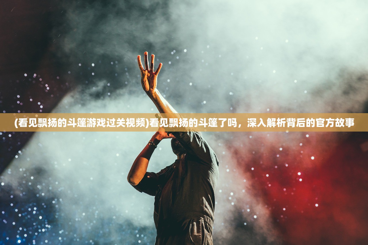 (看见飘扬的斗篷游戏过关视频)看见飘扬的斗篷了吗，深入解析背后的官方故事