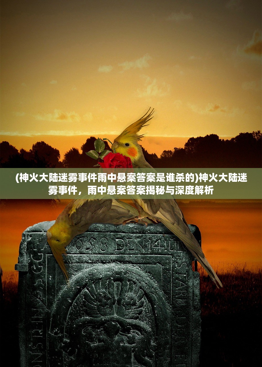 (神火大陆迷雾事件雨中悬案答案是谁杀的)神火大陆迷雾事件，雨中悬案答案揭秘与深度解析