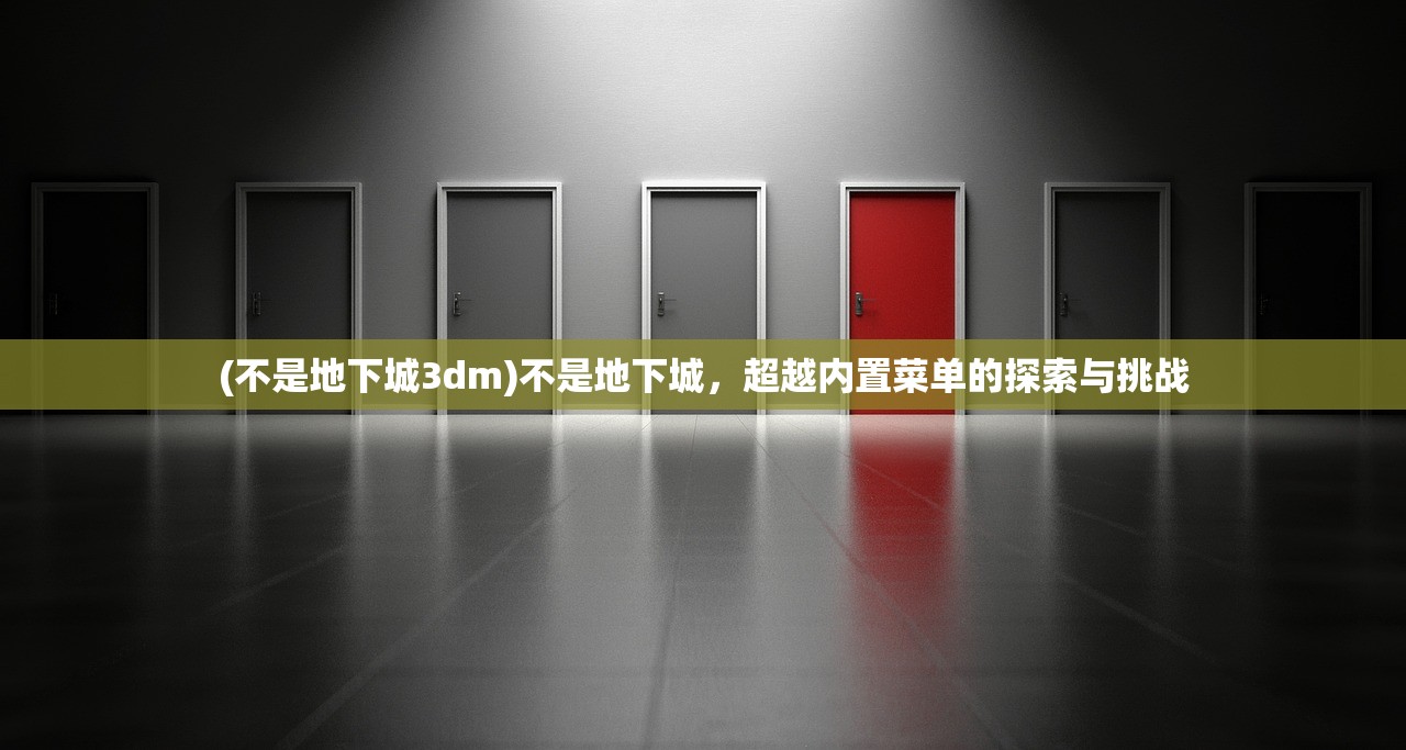 (不是地下城3dm)不是地下城，超越内置菜单的探索与挑战