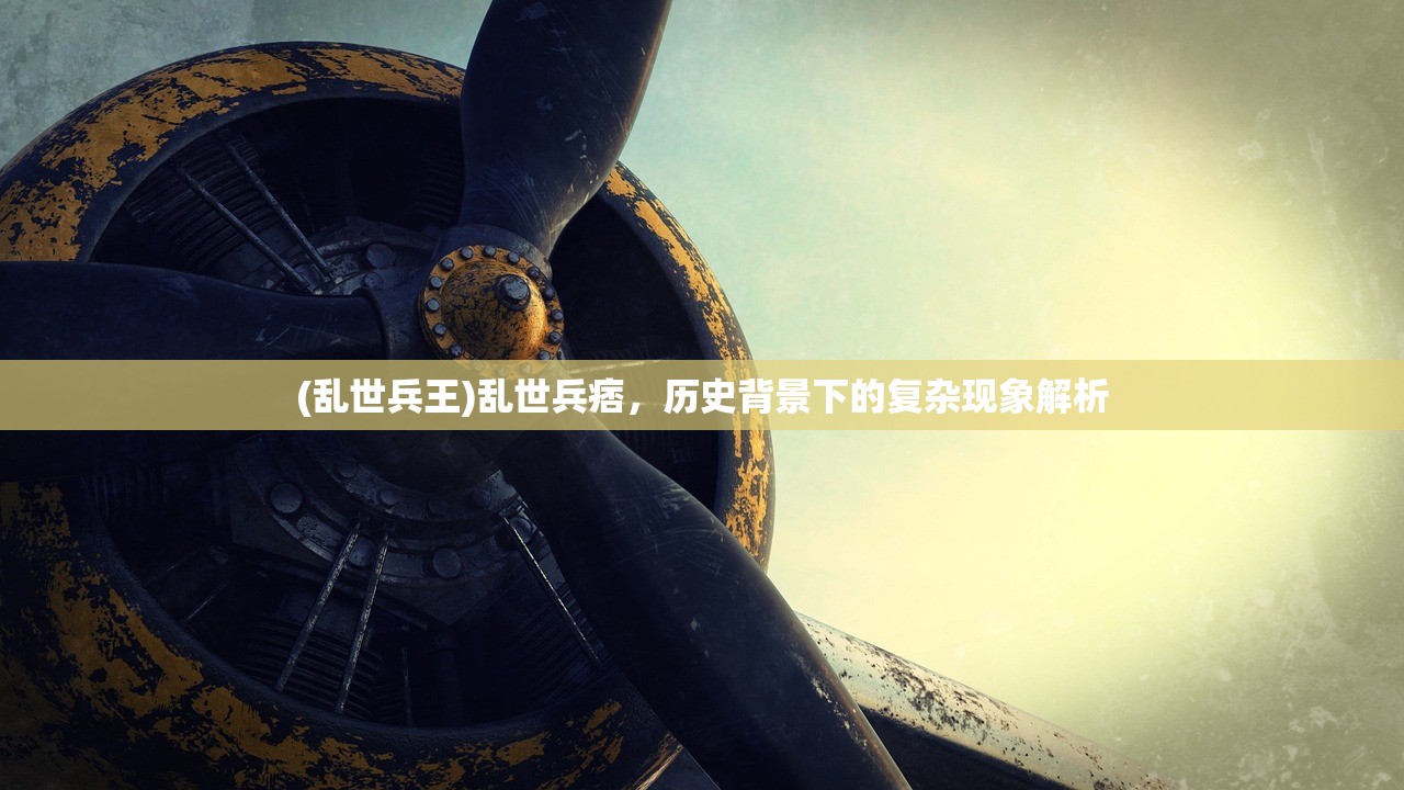 (乱世兵王)乱世兵痞，历史背景下的复杂现象解析