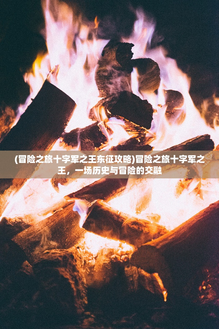 (冒险之旅十字军之王东征攻略)冒险之旅十字军之王，一场历史与冒险的交融