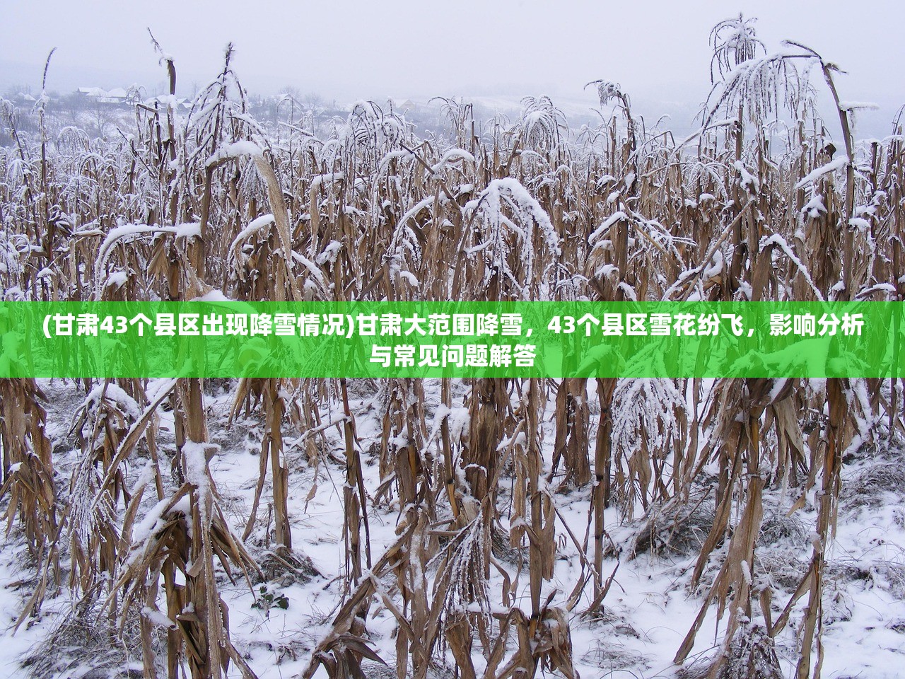 (甘肃43个县区出现降雪情况)甘肃大范围降雪，43个县区雪花纷飞，影响分析与常见问题解答