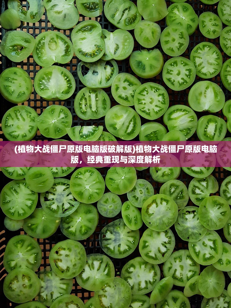 (植物大战僵尸原版电脑版破解版)植物大战僵尸原版电脑版，经典重现与深度解析