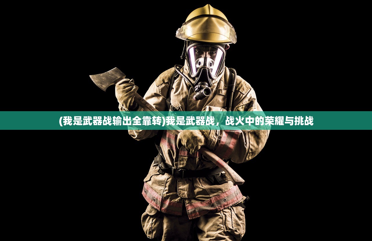 (我是武器战输出全靠转)我是武器战，战火中的荣耀与挑战