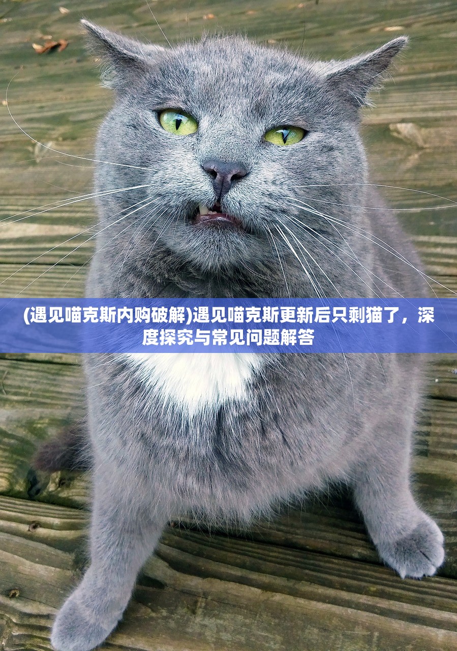 (遇见喵克斯内购破解)遇见喵克斯更新后只剩猫了，深度探究与常见问题解答