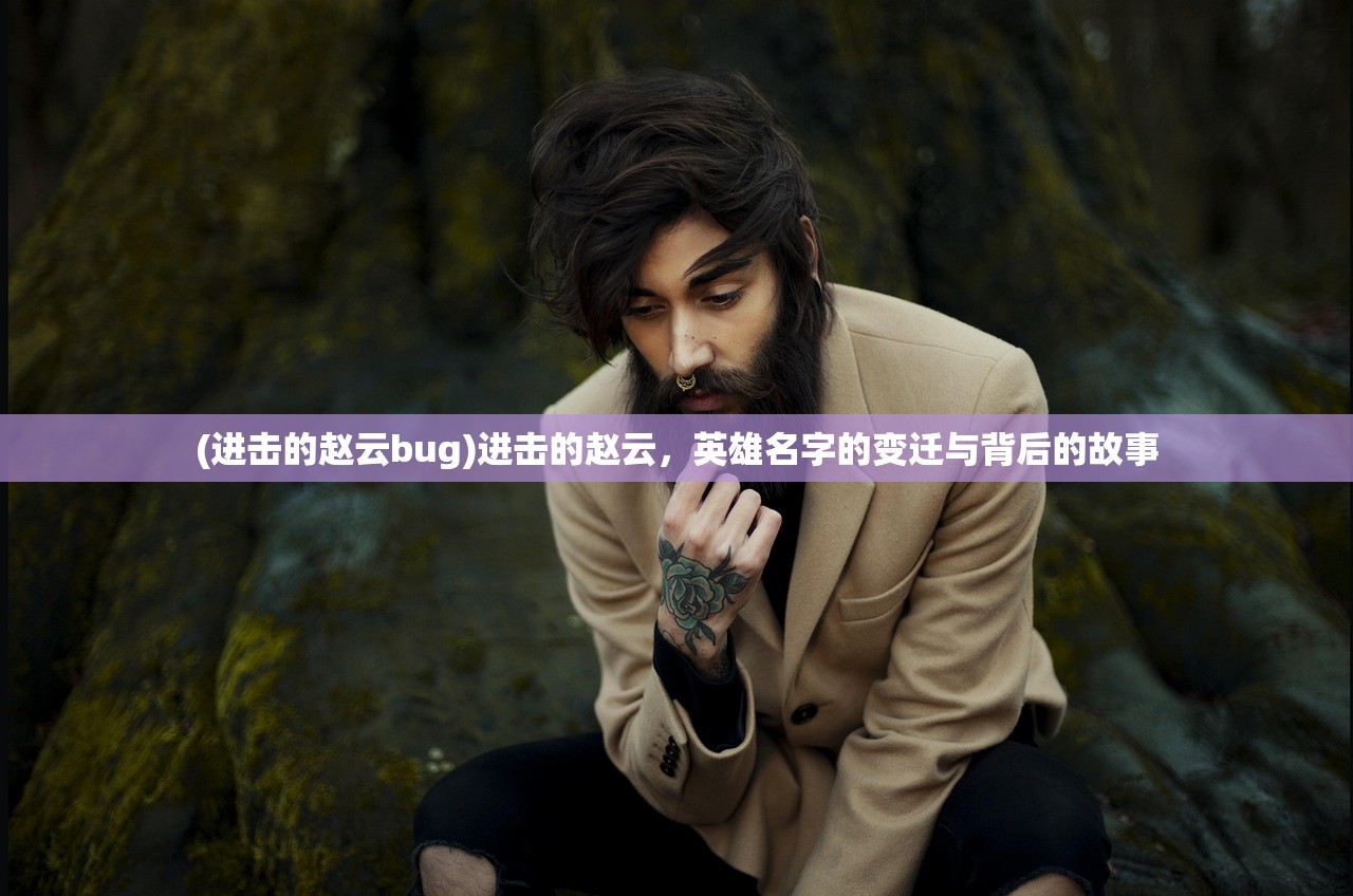(进击的赵云bug)进击的赵云，英雄名字的变迁与背后的故事