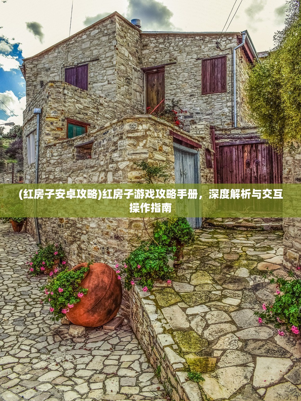 (红房子安卓攻略)红房子游戏攻略手册，深度解析与交互操作指南