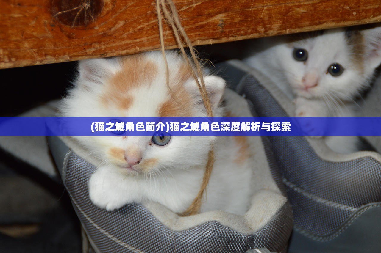 (猫之城角色简介)猫之城角色深度解析与探索