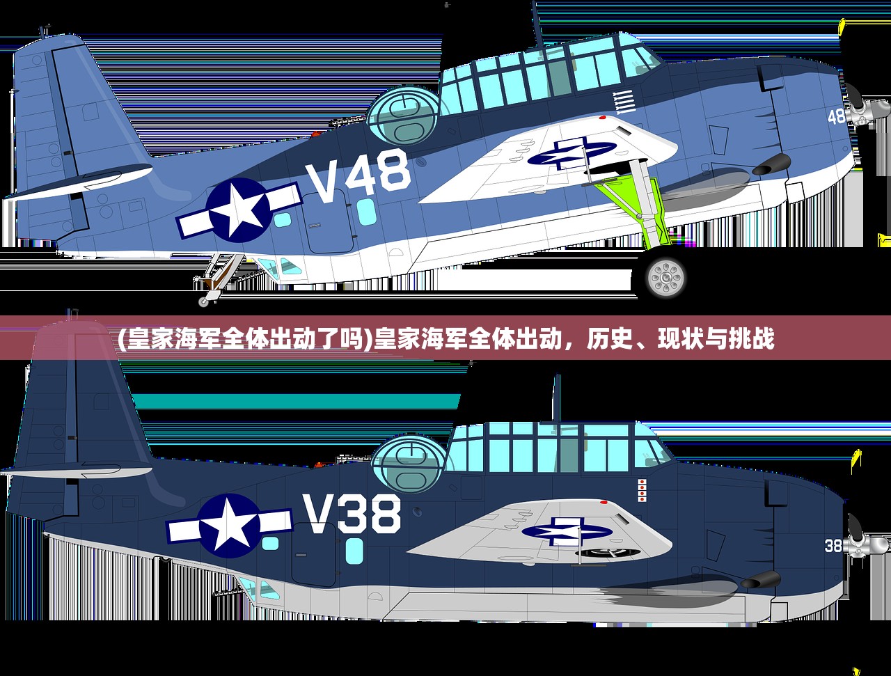 (皇家海军全体出动了吗)皇家海军全体出动，历史、现状与挑战