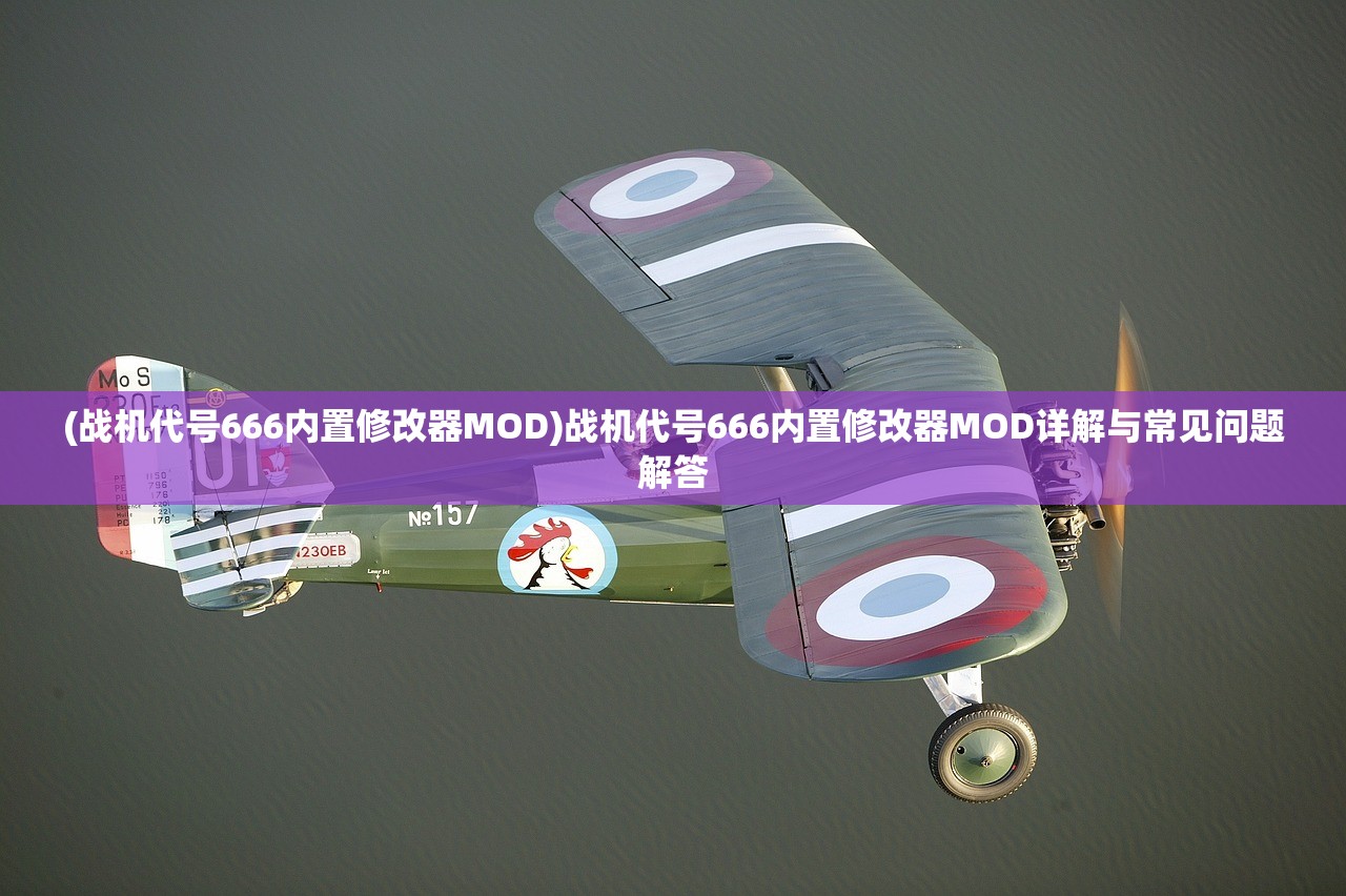 (战机代号666内置修改器MOD)战机代号666内置修改器MOD详解与常见问题解答