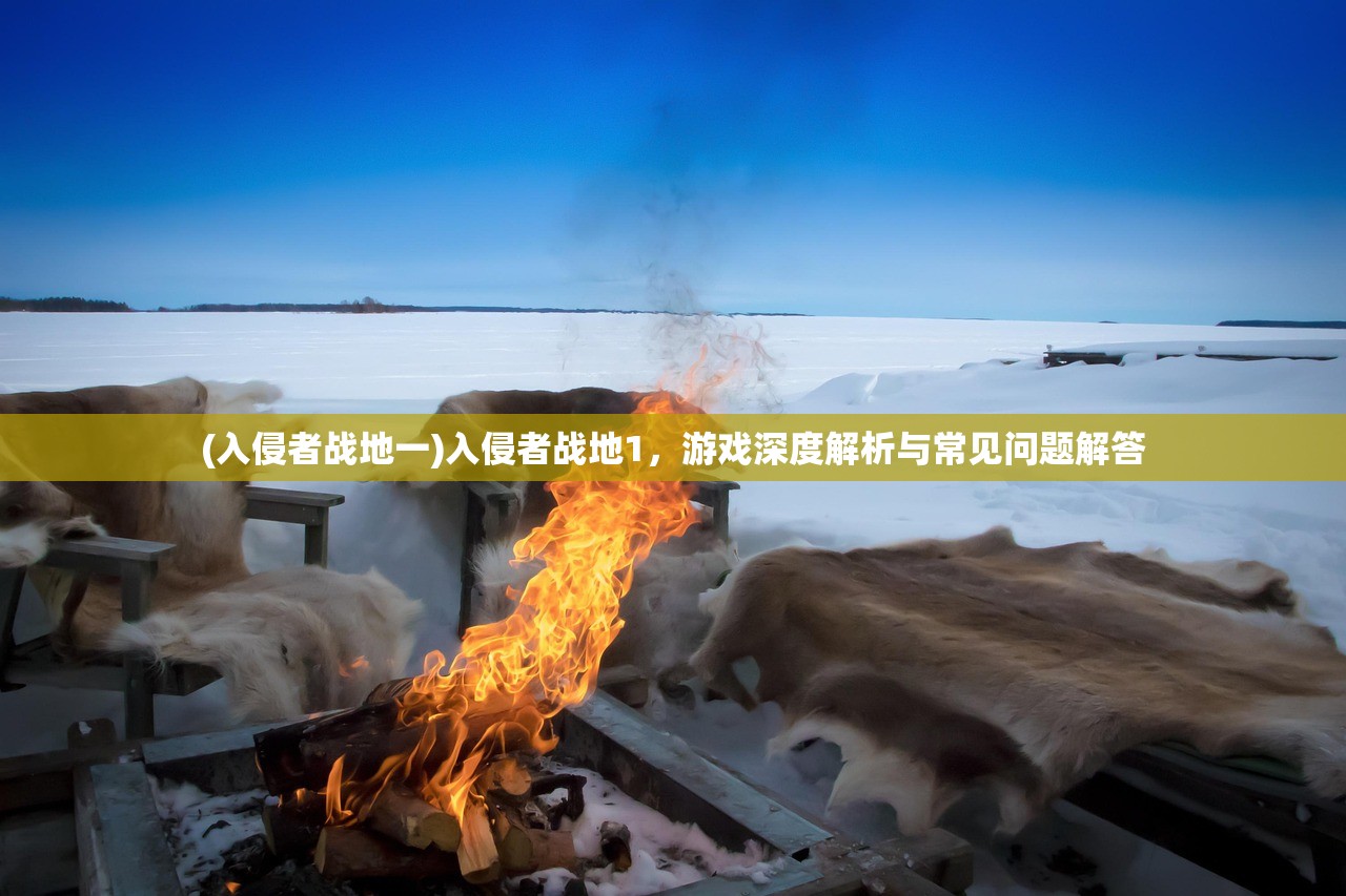 (入侵者战地一)入侵者战地1，游戏深度解析与常见问题解答