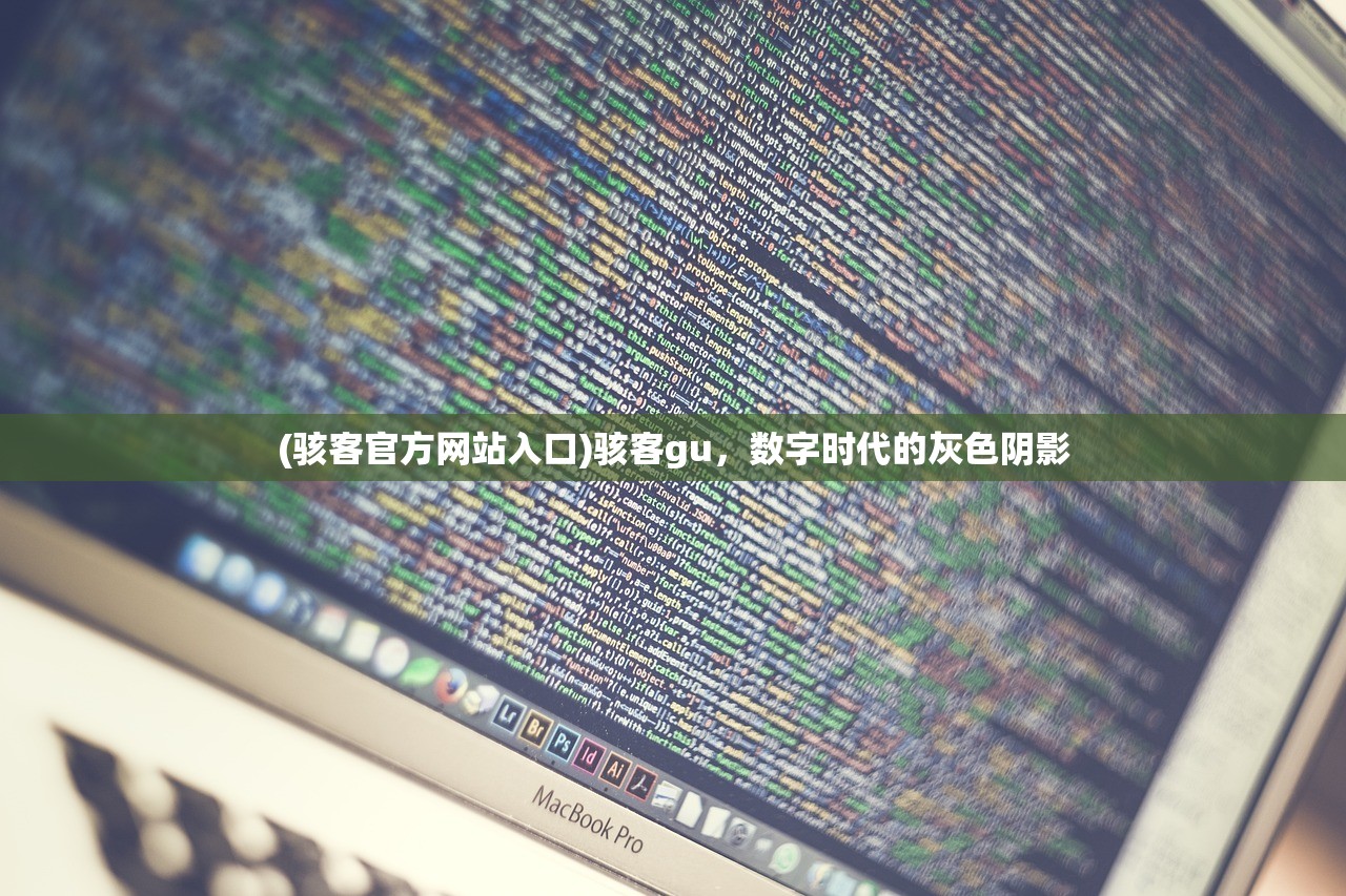 (骇客官方网站入口)骇客gu，数字时代的灰色阴影