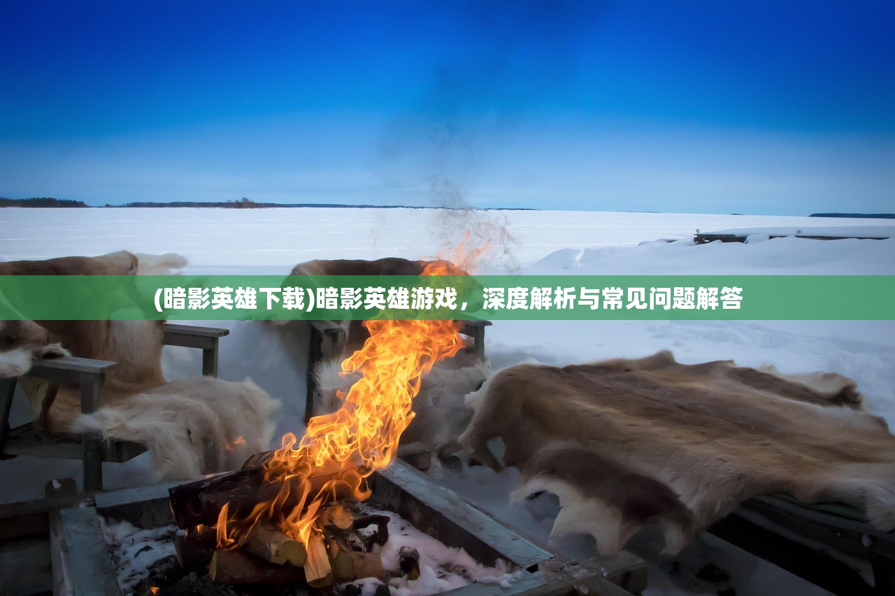 (暗影英雄下载)暗影英雄游戏，深度解析与常见问题解答
