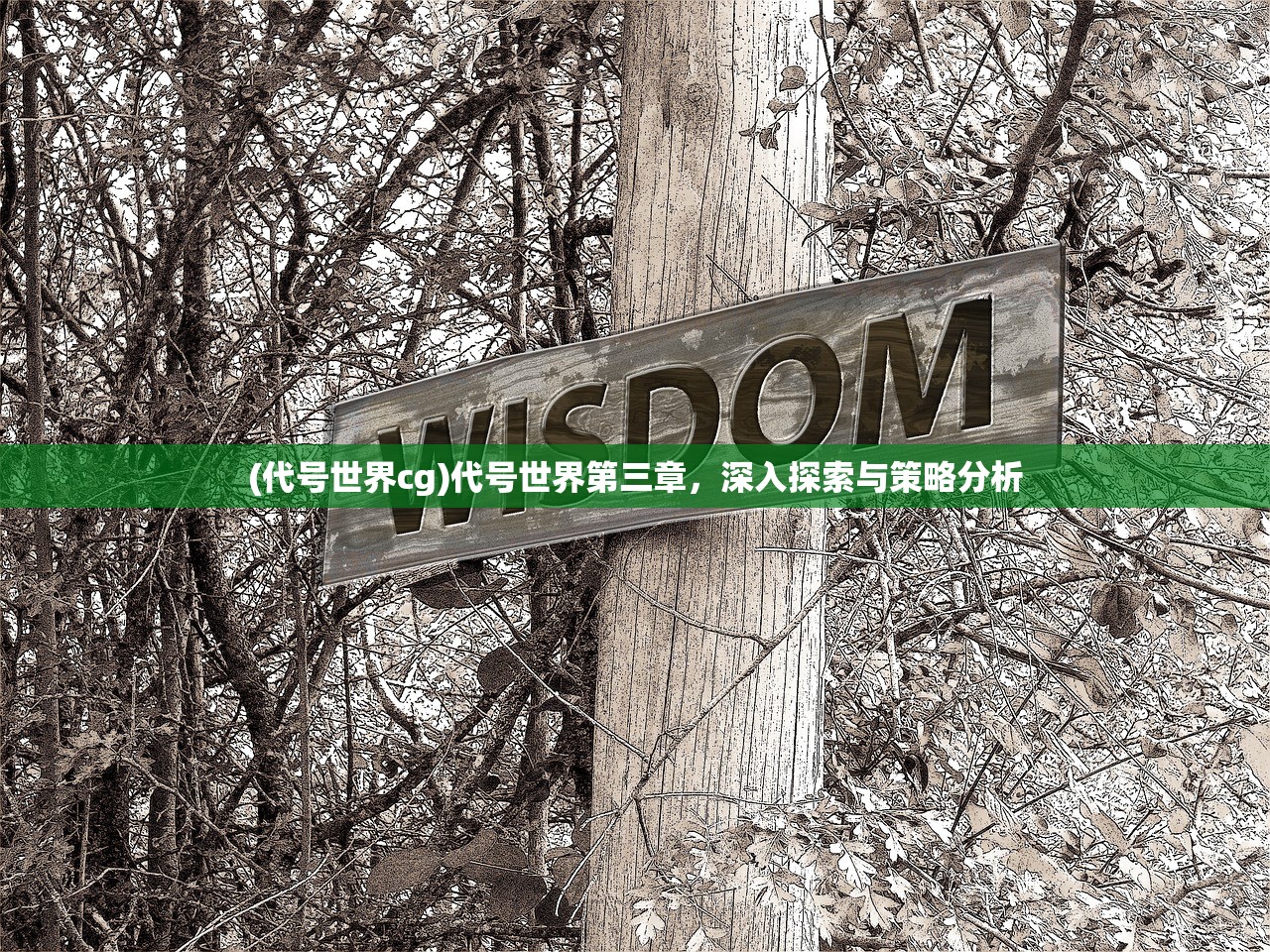 (代号世界cg)代号世界第三章，深入探索与策略分析