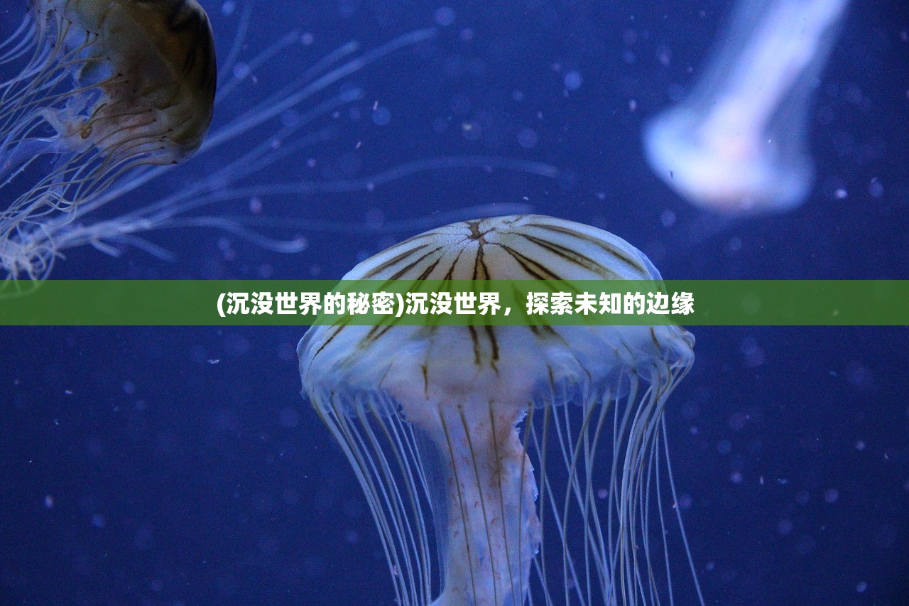 (沉没世界的秘密)沉没世界，探索未知的边缘